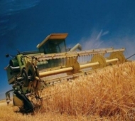 Присяжнюк озвучил зерновой прогноз в более чем 57 млн тонн